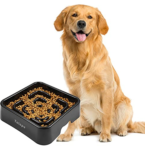 Tolopu Extra-Large Durable ABS Large Slow Feeder Dog Bowls(10 Cups Capacity) Stop Bloat Bowl Anti-Choking &Anti-Gulping & Fun Feeding Bowl (Large, Black)