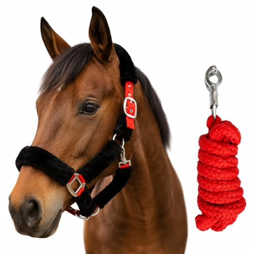 Pferdelinis Cabestro de Caballo y Cabestro de Piel de Punto con Cuerda de Plomo, Gancho de pánico para Caballo, Cabestro de Pony, mazorca, Sangre Caliente, Sangre fría (Sangre fría (X-Full))