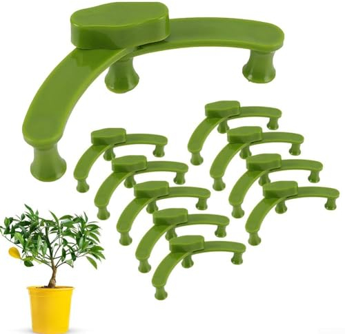 Lot de 100 pinces pour plantes - Outils de modelage pour bonsaï - Pour légumes, fleurs, arbres fruitiers, poiriers