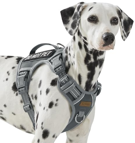 No Pull Dog Harness for Large Dogs with 2 Metal Clips, Easy On/Off with Neck Buckle, Heavy Duty Adjustable Tactical Puppy Vest, Breathable Pet Harness with Easy Control Handle, Gray L