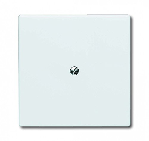 Busch-Jaeger, 2138-32, Placca centrale cieca