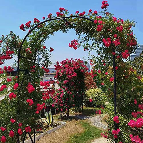 Arcos de jardín de metal fuerte de 20 mm de grosor, estable, impermeable, arco de rosas de jardín, enrejado de metal para plantas trepadoras, arcos decorativos multifuncionales, color negro, 1,2 m x