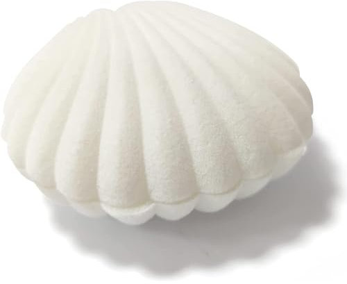 Wiredock Portable Jewelry Storage Shell Shape Box Jewelry Holder Organizer for Girls Womens Rings Earrings Studs (6x3cm, White) YS-248