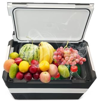 HHCTEBEC Car Refrigerator, Portable Compressor Freezer Fridge Electric Coolers with 12/24V DC & 100~240V AC for Christmas's Day Gift, Skincare, Beverage, Food, Home, Office and Car,45L