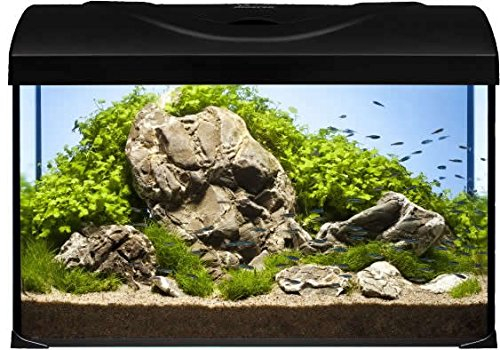 Diversa Aquarium Startup Set LED, rechteck schwarz, Aquarien komplett Set mit Glasbecken und Zubehör für Ihre Fische und EXPERT LED Beleuchtung
