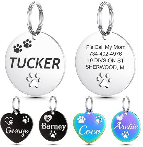 YEHANTI Medaglietta Cane Personalizzata con Incisione - Targhetta Personalizzata con in Acciaio Inox, Ideale per Incidere il Tuo Nome e il Tuo Contatto - Rotondo (Argento, Grande)