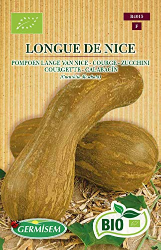 Germisem Bio Graines Courge LONGUE DE NICE