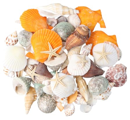 Anseom Shells, Decorative Shells Starfish, Mixed Ocean Shells, Sea Shells for Vase Filler Beach Theme Party Home Wedding Decorations DIY Craft Fishing Net Decoration