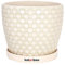 KOTARBAU® Maceta de cerámica esmaltada, Ø 15 cm, Tiesto Decorativo para Plantas, Macetero con Plato Redondo para Interiores, Minimalista, Crema, Beige, Macetas Elegantes, Estilo clásico, Maceteros