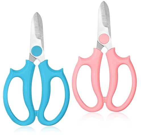 NECXON 2 Ciseaux de Jardin pour Fleurs, Ciseaux de Jardinage, Ciseaux de Fleuriste, Ciseaux de Fleuriste, Ciseaux de Feuilles pour sécateurs, Ciseaux d'élagage, Jardinage (Rose et Bleu)