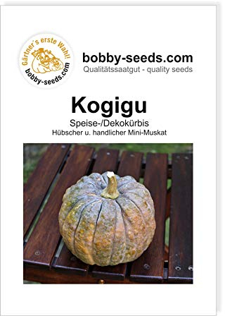 Kogigu Kürbissamen von Bobby-Seeds, Portion