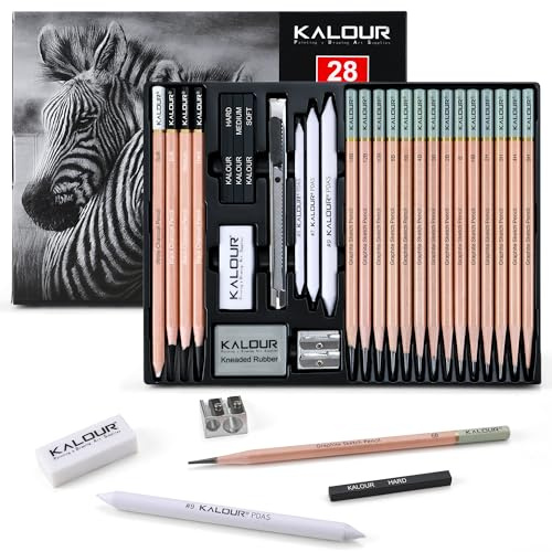 KALOUR Lot de 28 crayons à croquis professionnels – 14 crayons graphite (14B-5H), fusains, gommes, taille-crayons et monture – Kit d'art complet pour artistes et