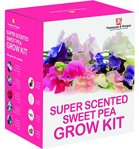 Scented Sweet Pea Seeds Growing Kit - Gardening Gift Grow Your Own Fragrant Sweetpea Plants with Growing Equipment by Thompson and Morgan