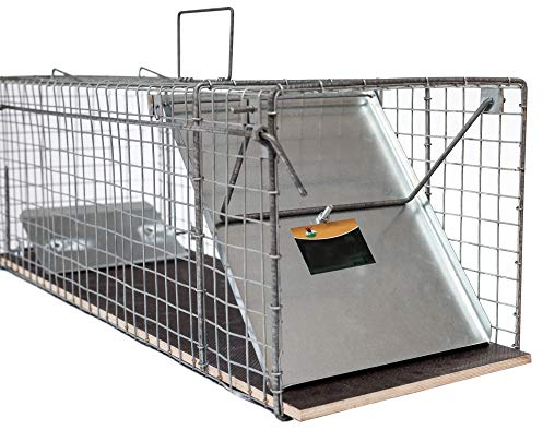 Grande Trappe à Raton Laveur de 116x26x28 cm, Trappe à Chat, Trappe à martre, Solide, piège Vivant à 2 entrées pour martres et Chats, piège Vivant à Lapin, piège à Chat, pièges à martres