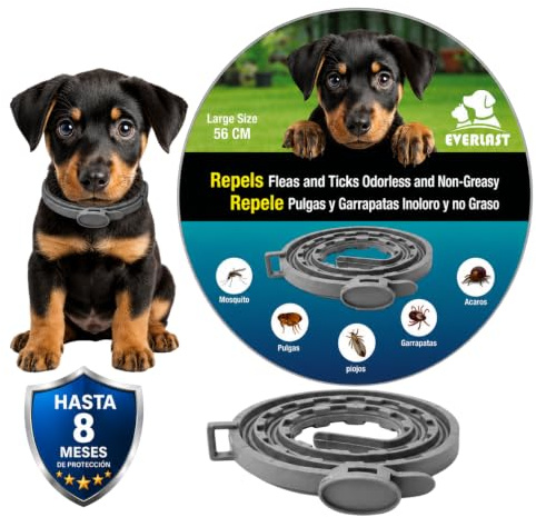 Tempotech ® Collare Antiparasaitario - Cane e Gatti - 8 Mesi di Protezione - contro Pulci, Zecche, Zanzare, Acari e Pidocchi - 100% naturali (Nuova chiusura 56 cm)