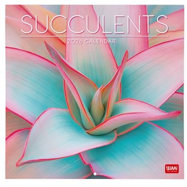 Legami - 2026 Wall Calendar, Succulents, Large Wall Calendar, 12 Months and Year Planner in 6 Languages, Space for Notes, Zodiac Signs, International Holidays, 30 x 29 cm
