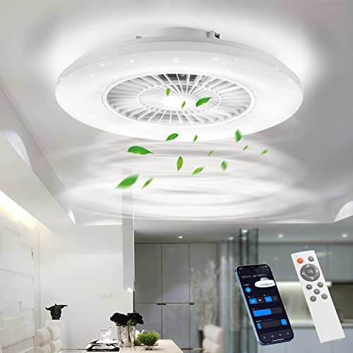 BKZO Smart LED Ceiling Light with Fan, Ceiling Fan Lights Stepless Wind Speed Adjustment, Stepless Dimming Light, 60CM Modern Fan Lighting for Living Room, Dining Room, Bedroom, Office, 3000-5500K