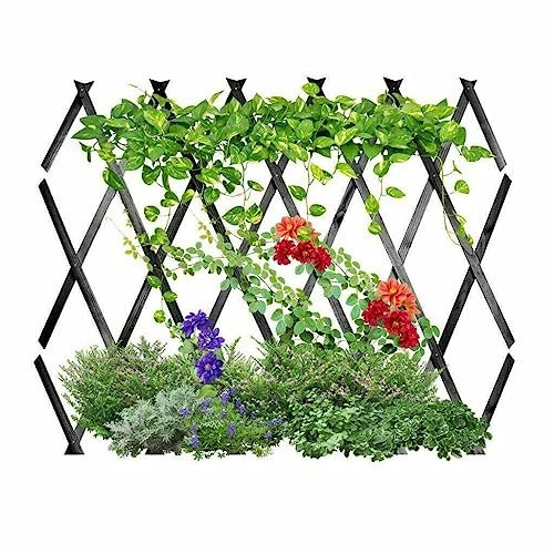 WILSONS DIRECT - Extendable Wooden Trellis Natural Garden Expanding Plant Support - Flowers Vines Climbing Plants Support Panels - Weather Resistant (120x180cm (4ft x 6ft), Dark Grey)