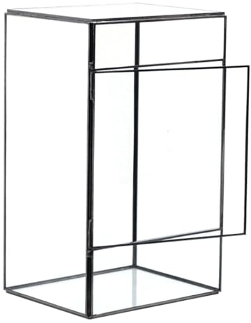 Milisten Terrarium Transparent pour Plantes Conteneur Décoratif DIY pour Fleurs et et Multifonctionnel pour Maison Bureau Jardin