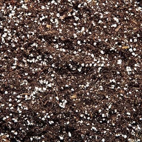 Carnivorous Plant Potting Mix – Premium Venus Flytrap, Pitcher Plant and Sundew Substrate with Perlite, Coco Coir and Leca for Healthy Growth and Strong Root Development (20L)