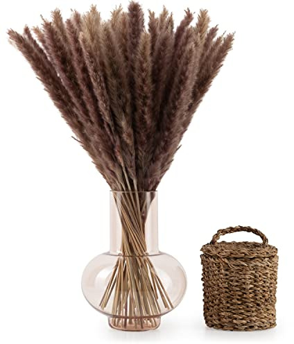 Blumtal Pampasgräs torkade blommor - Pampasgräs 100 bitar, 58-60 cm, för torkade blombuketter eller torkad blomdekoration, pampasgräsdekoration i boho-stil i pampasgräs Naturbrun