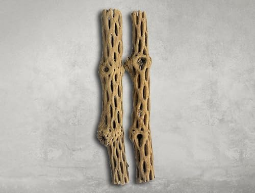 Cholla Wood Set of 2 pises - 12 inches for Shrimp Habitat and Food Treat Hermit Crabs Plecos Aquarium Decoration Lowers pH Hideouts and Chew Toys Reptiles Thorn Free Dried Organic Natural