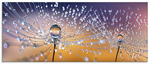 ARTland Wanddeko Glasbilder Wandbild Glas Bild einteilig 125x50 cm Querformat Blumen Pusteblume Wassertropfen Natur Modern Orange U1TA