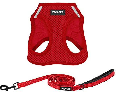 Voyager Step-in Air Cat Harness - All Weather Mesh Step in Vest Harness for Small and Medium Cats by Best Pet Supplies - Harness Leash Set (Red), XXS