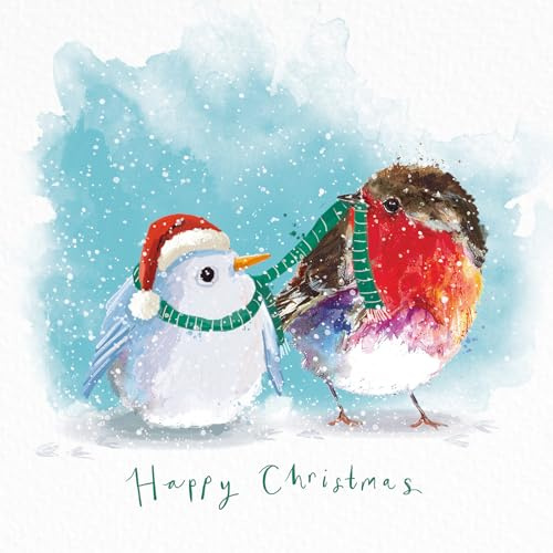 Marie Curie Charity Fluffy Robin Duo Christmas Cards Two Designs Pack of 10 with Envelopes Birds Bird