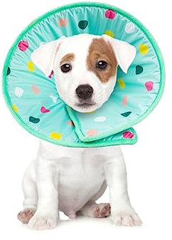 BESPORTBLE Hundekragen Für Hunde Und Katzen Aufblasbare Elizabethan Halskrause Für Wundheilung Schutzkragen Für Haustiere Größe S Leckschutz Und Bequemer Sitz