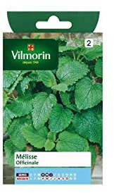 Vilmorin - Sachet graines Melisse officinale