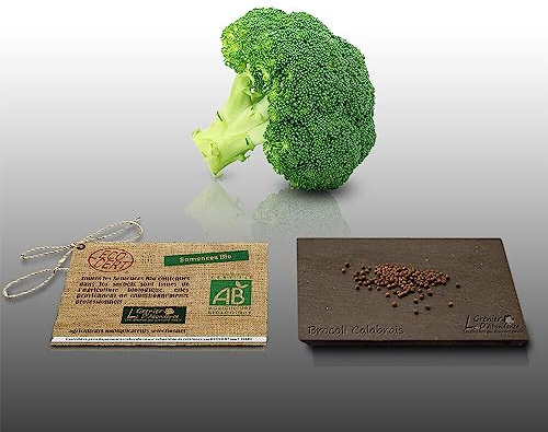 100 graines Bio à semer - Le Grenier d'Abondance - CHOU Brocoli vert Calabrais - Certifié AB - Brassica oleracea