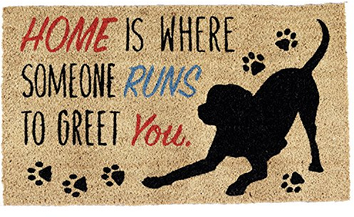 DII Pet Print Collection Natural Coir Doormat, 17x29, Home Dog