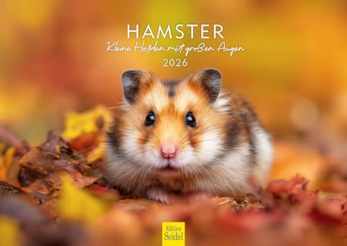 Edition Seidel Calendario premium para hámster – Pequeños héroes con ojos grandes 2026, formato DIN A4, calendario de pared, calendario de animales, mamíferos, mascotas, roedores, lindos
