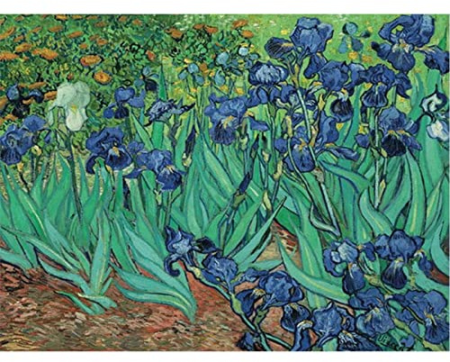 YSCOLOR Diamond Painting Full Round Diamond Broderi Van Gogh Irises 5D Diamond Mosaic Cross Stitch Picutre Of Rhinestones Home Decor 30X40cm