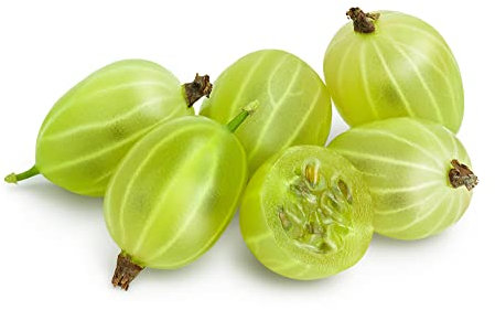 Gooseberry Plants, 2 x Full Plants in 2 Litre Pots, Gooseberries, Garden Fruit, Gooseberry Bush, Garden Ready and Ready to Plant, Premium Quality Fruit