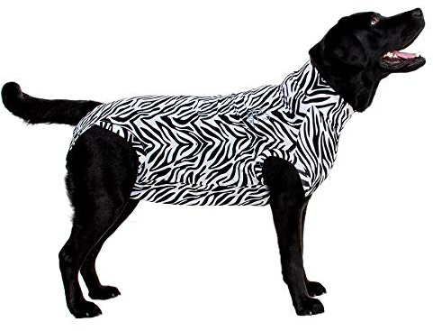 MPS Medical Pet Shirt Hund, Zebraprint, M +