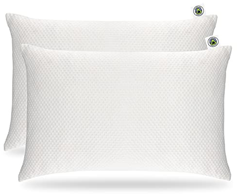 Martian Made Waterproof Pillow Protector Case | Zip Closure | Super Soft 280 GSM Bamboo Rayon | Hypoallergenic & Antibacterial | 2 Pack Super King Size (50x90cm) - Martian Dreams Collection