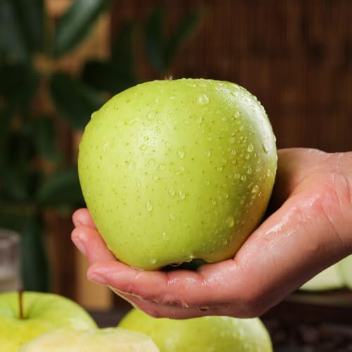 100 pcs apfelbaum samen、 säulenobst、pflanzen garten obstbaum、geschenke für gartenliebhaber balkonpflanzen、säulenobstbäume deko garten、schnell wachsender winterharte pflanzen für garten