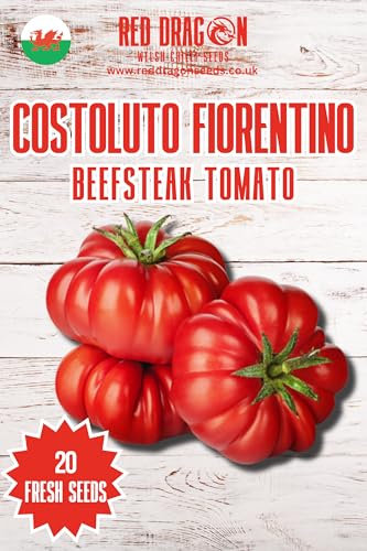 Costoluto Fiorentino Tomato Seeds - 20 Fresh Costoluto Fiorentino Tomato Seeds