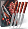 AOOSY Steak Knives Set of 4, Ultra Sharp 4.8 Inch Non Serrated Steak Knife Set, High Carbon Steel Kitchen Steak Knives with Ergonomic Handle