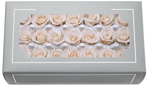 FORTTS - Testa di Rosa Conservata di Grado A 2-3cm, Rose Eterne Naturali di Grado Superiore, Rosa Immortale che Dura da 3 a 5 Anni per Regali di Festa della Mamma, San Valentino, Compleanno