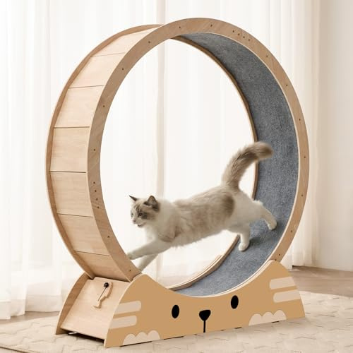 RRPETHOME 48 Cat Wheels for Indoor Cats, Quiet & Stable Cat Exercise Running Wheel, Cats Treadmill with Anti-Slip Mat