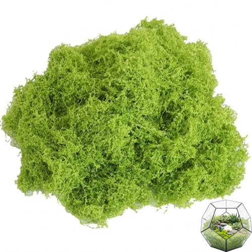 Alinw Craft Moss 60g Pack, Artificial Green Moss for Floristry Supplies, Spanish Moss for Terrariums and Plant Pot Decor