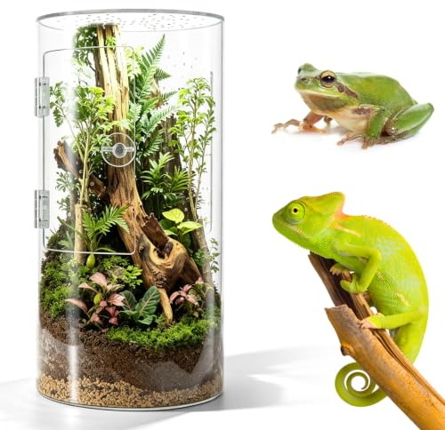 Cylindriskt terrarium, vivarium, sniglar terrarium frontal öppning 360 grader panorama akryl vattentät tvärventilation för springspinnen, prästinnan, geckoödlor, lövgrodor, skalbaggar