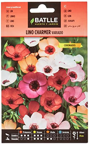 Semi di Fiori - Lino Charmer - Batlle