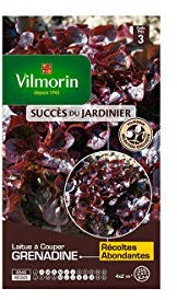 Vilmorin - Sachet graines Laitue à couper grenadine