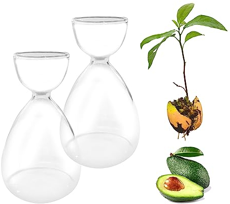 Avocado-Samen-Sprossen-Vase, Avocado-Baum-Anzucht-Set, Glasvasen, Glas-Gartensamen-Starter-Pflanzvase für Zuhause, Tisch, Schreibtisch, Innendekoration, 2 Stück