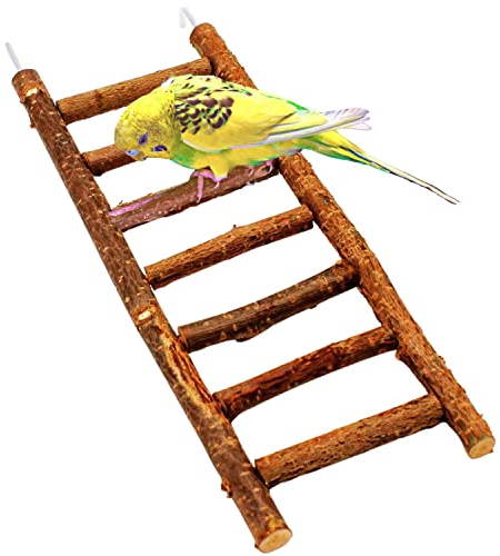 Vogelgaleria® Tolle Vogelleiter aus leckerem Naturholz | Leiter ohne Klebstoff | Wellensittich Spielzeug | Ideal für Wellensittich, Nymphensittich, Kanarienvogel