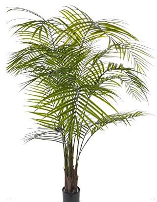 Konstpalm Areka ca. 175 cm hög med 16 bladvidel, UV-säker och äkta palmfibermaterial – konstgjord Areca palm Madagaskar guldfruktpalm